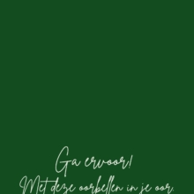 Ga ervoor! Met deze oorbellen in je oor.