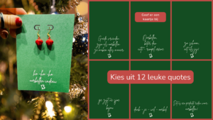 https://kibibi.be/product/unieke-oorbelkaartjes/